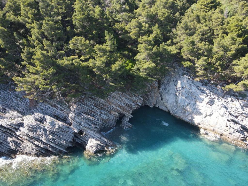 Guest House Jadran Pol Petrovac Exterior foto